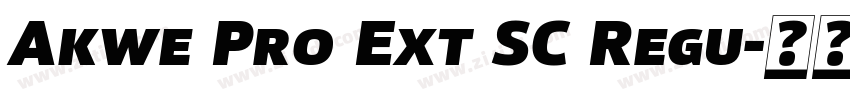 Akwe Pro Ext SC Regu字体转换